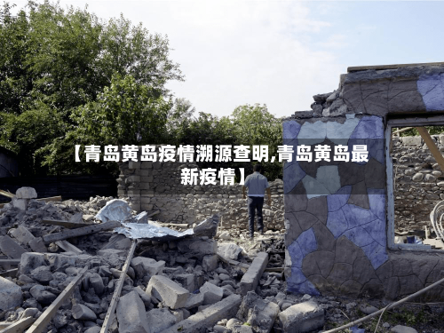 【青岛黄岛疫情溯源查明,青岛黄岛最新疫情】-第3张图片
