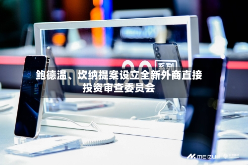 鲍德温、坎纳提案设立全新外商直接投资审查委员会-第2张图片