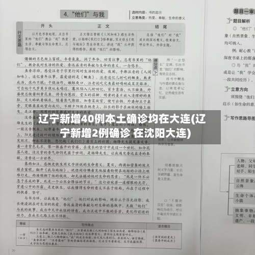 辽宁新增40例本土确诊均在大连(辽宁新增2例确诊 在沈阳大连)-第2张图片