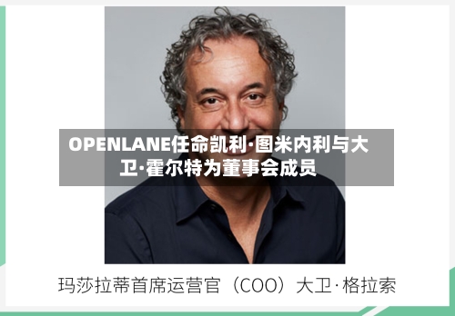 OPENLANE任命凯利·图米内利与大卫·霍尔特为董事会成员