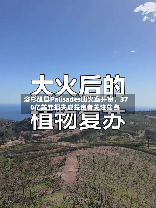 洛杉矶县Palisades山火案开审	，370亿美元损失成投资者关注焦点-第2张图片